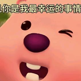 小王同学（摆烂版）