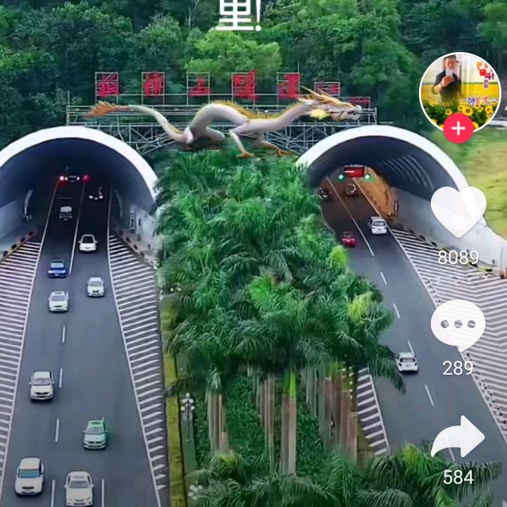 W三月桃花醉春風