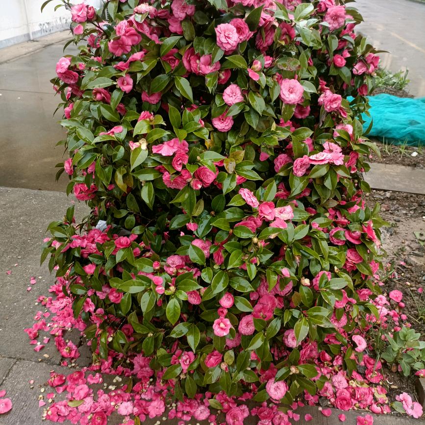 记录生活从我开始