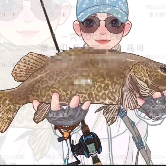 强哥户外野钓