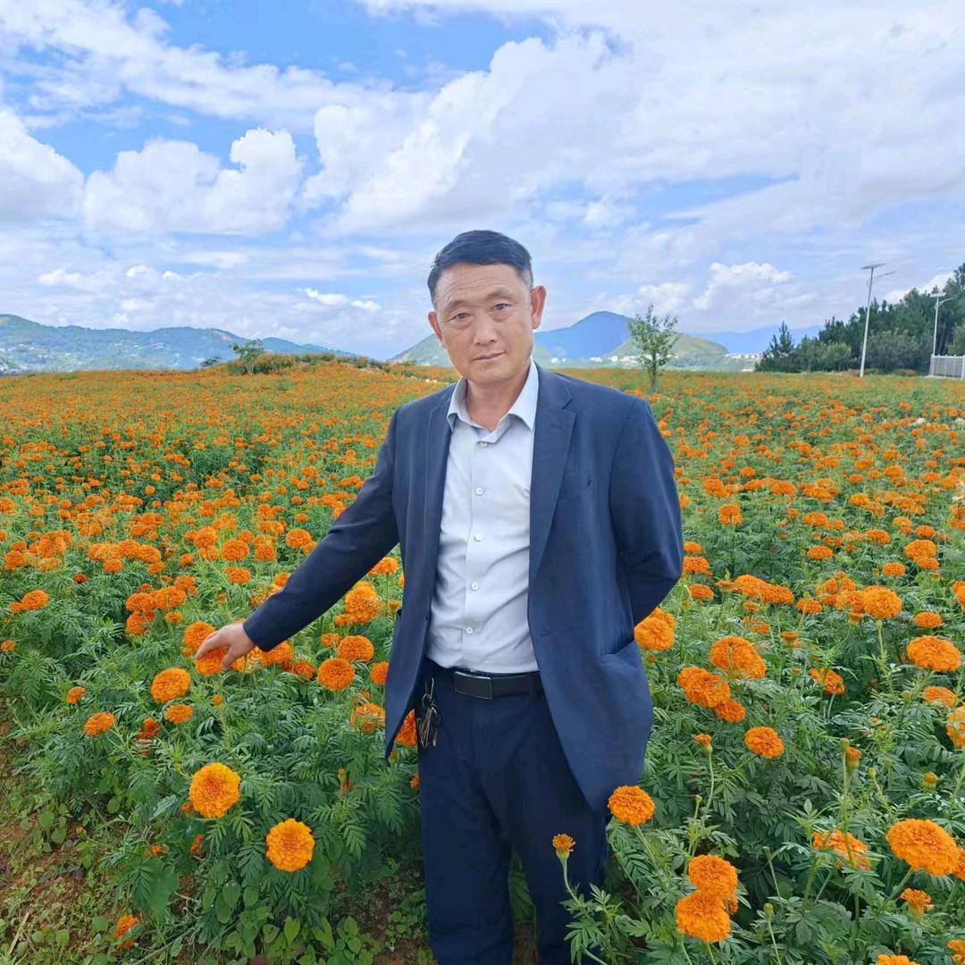 寻味沧江（村干部助三农）
