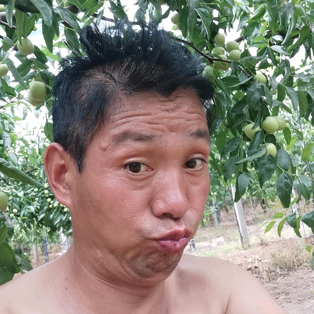 黑狐