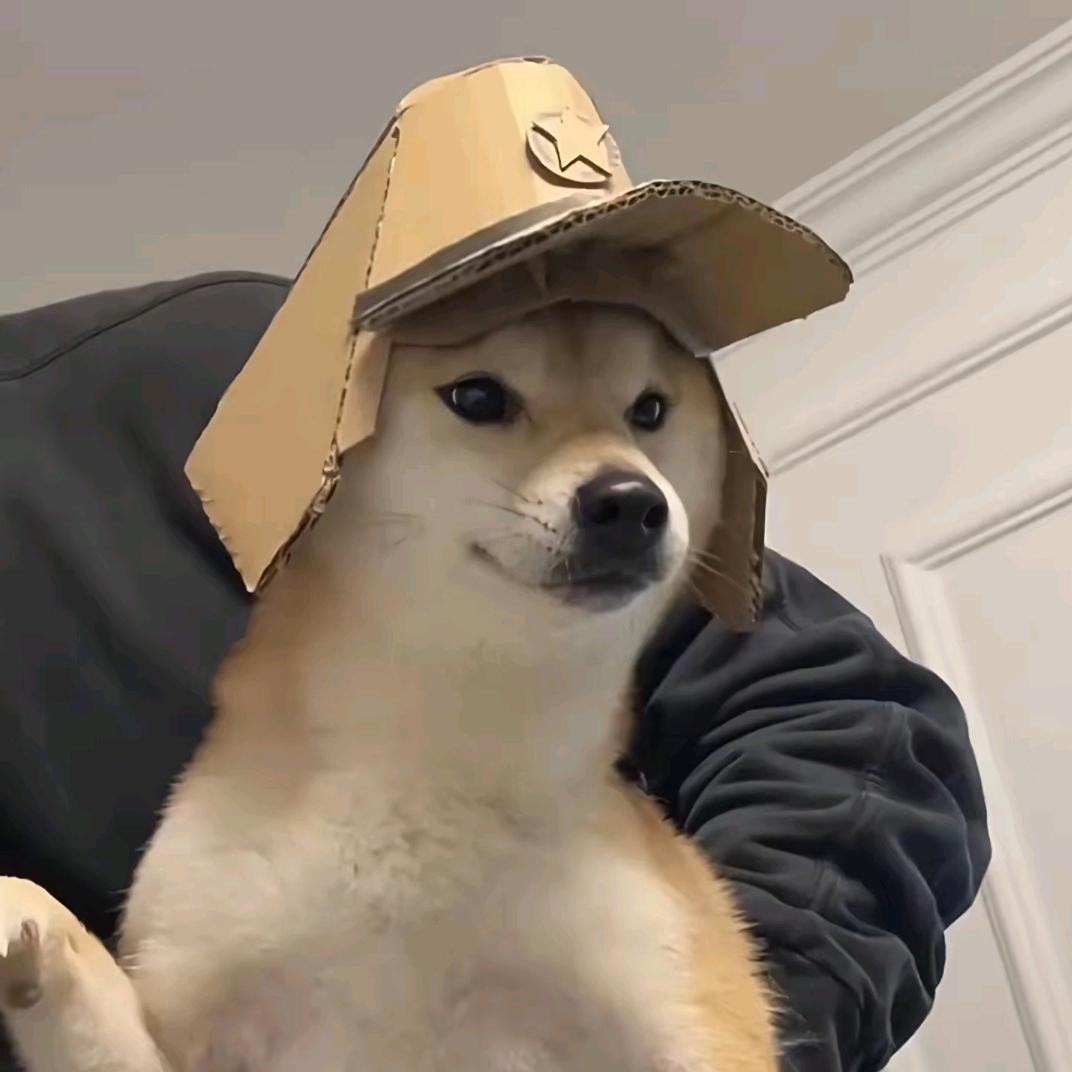 啃酬西