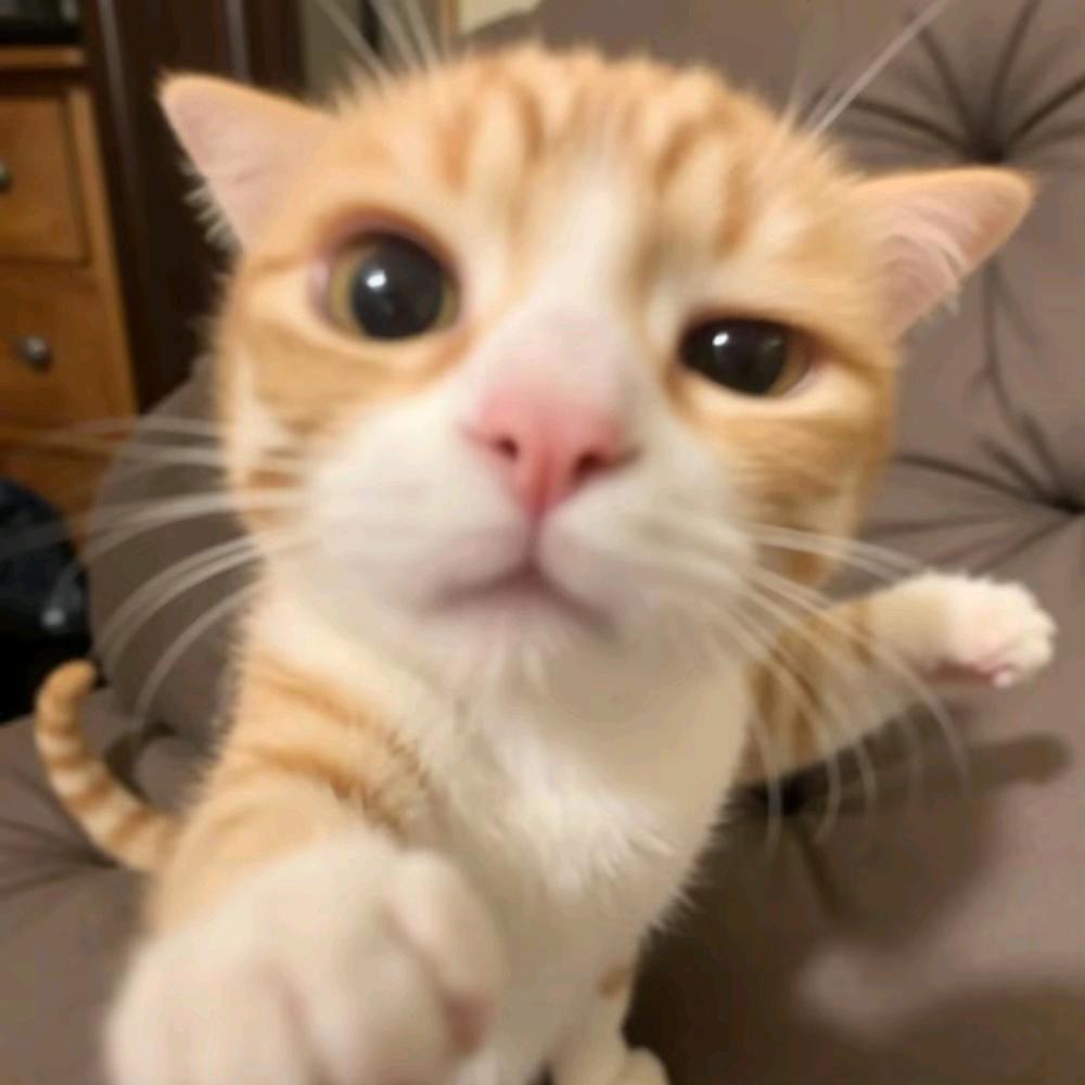 不予.