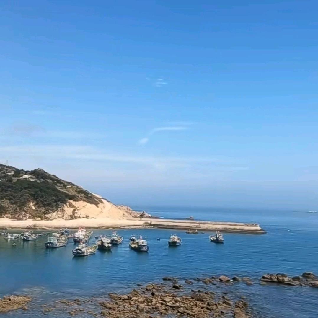 森林外的小路