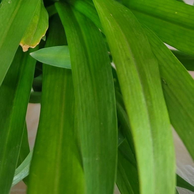 努力加油！定会成功！