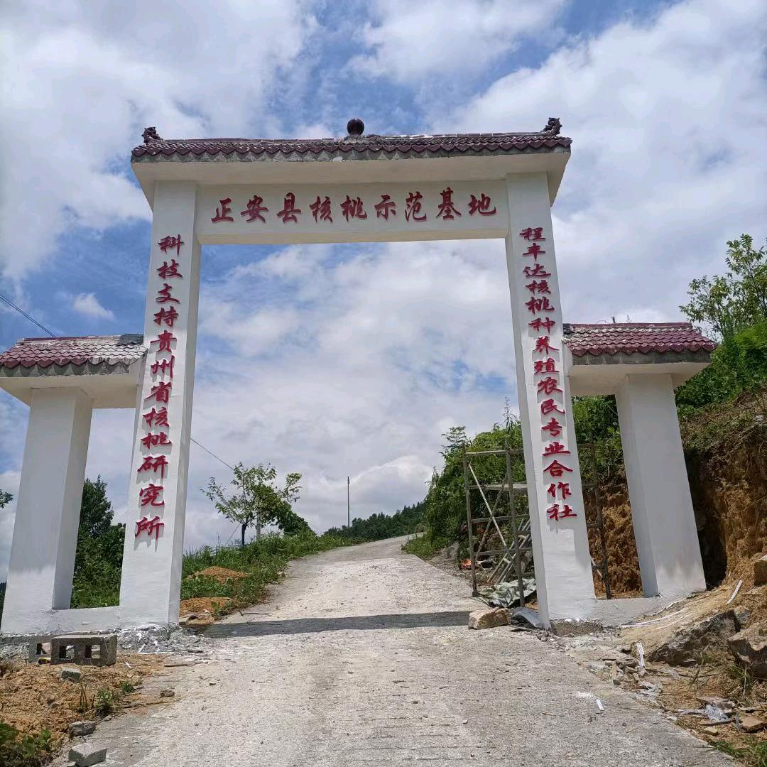正安家镇哥果园散养士鸡
