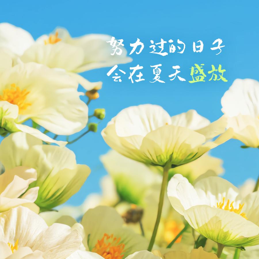 果裹