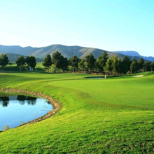 年华（来此看看）