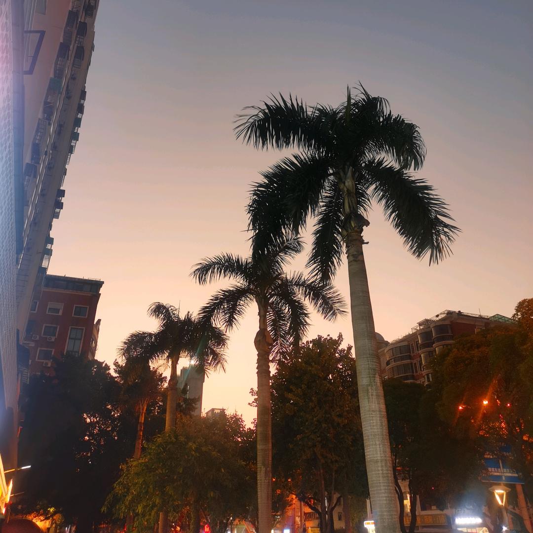 ヘ只對鉨癡心゛