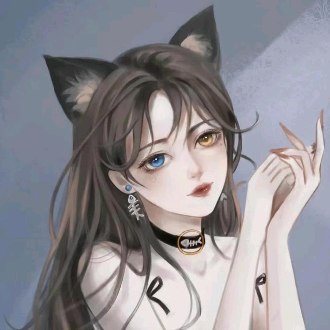 光年树洞