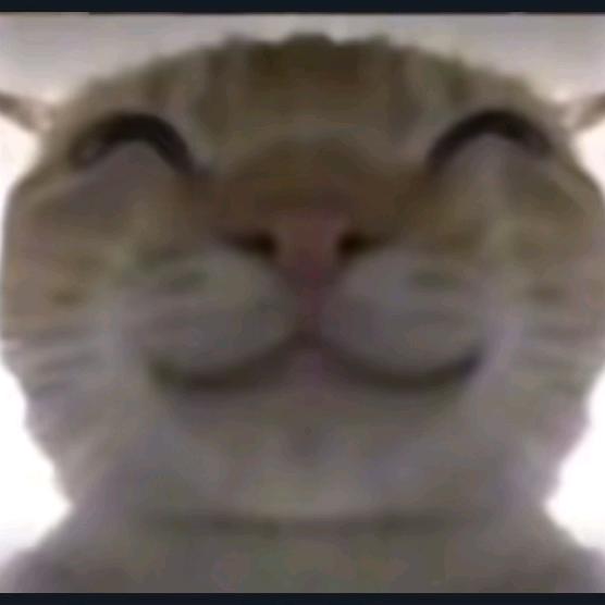 。。1
