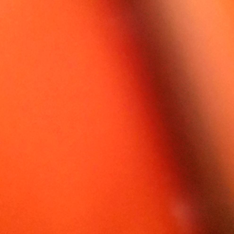 柏丽