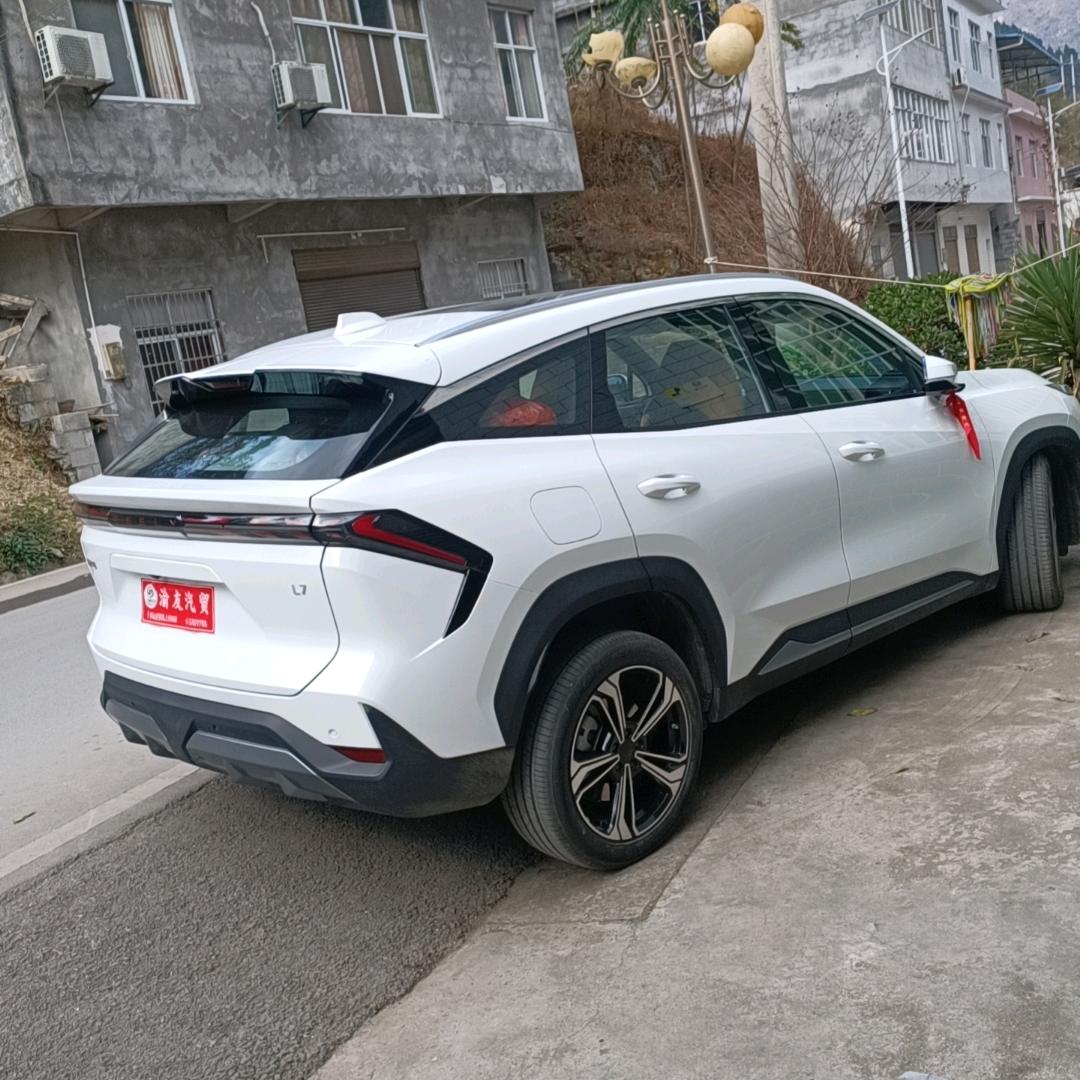 🌲李哥🌲908