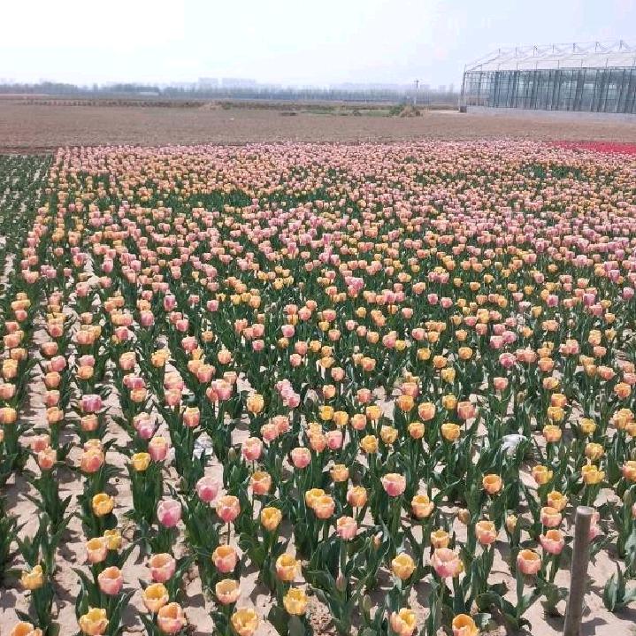 用户9385813584210