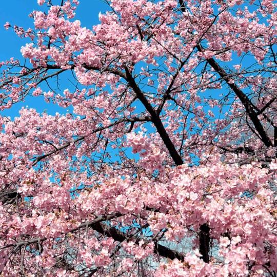 情感忏悔间-咨询师沐洋