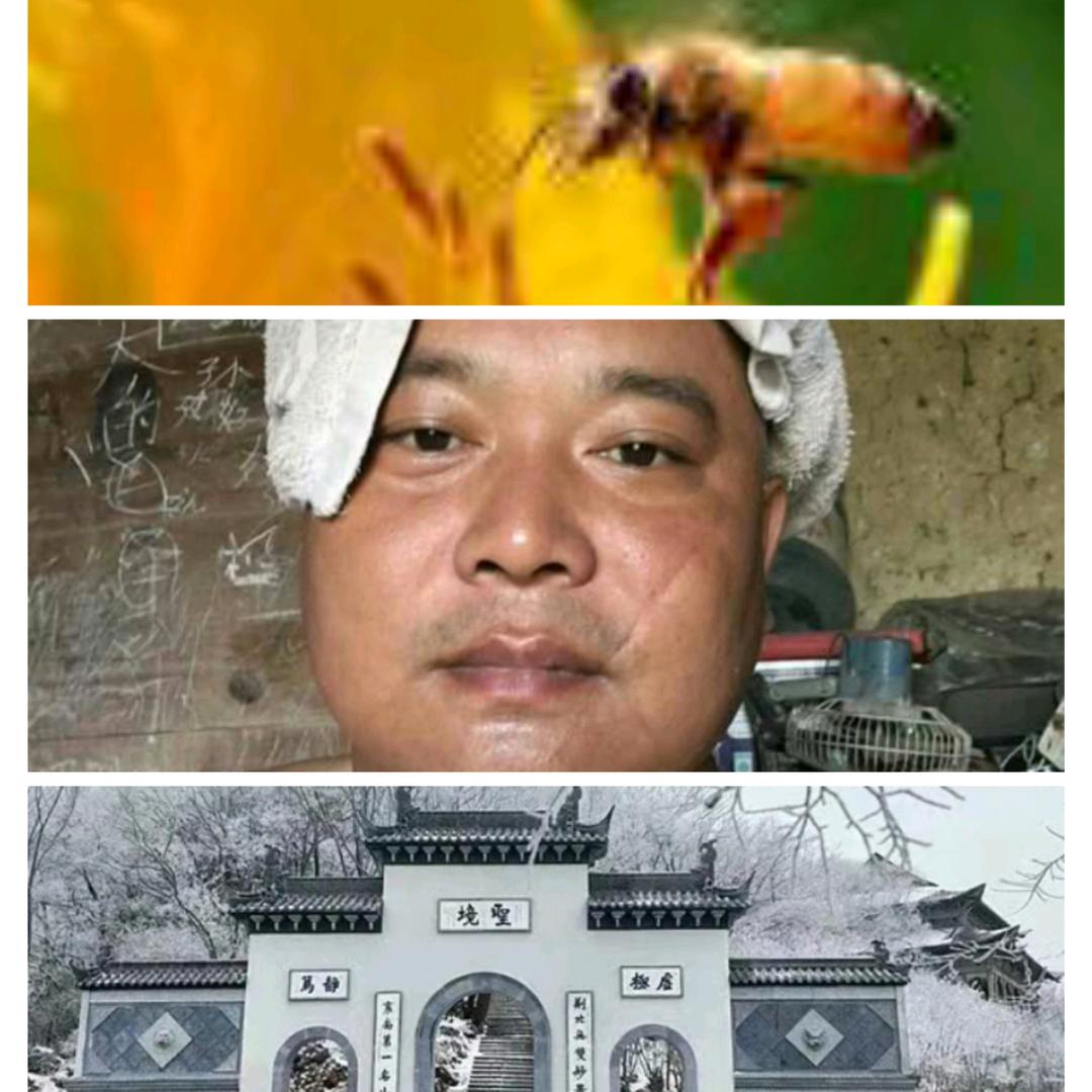 圣境山蜜蜂园
