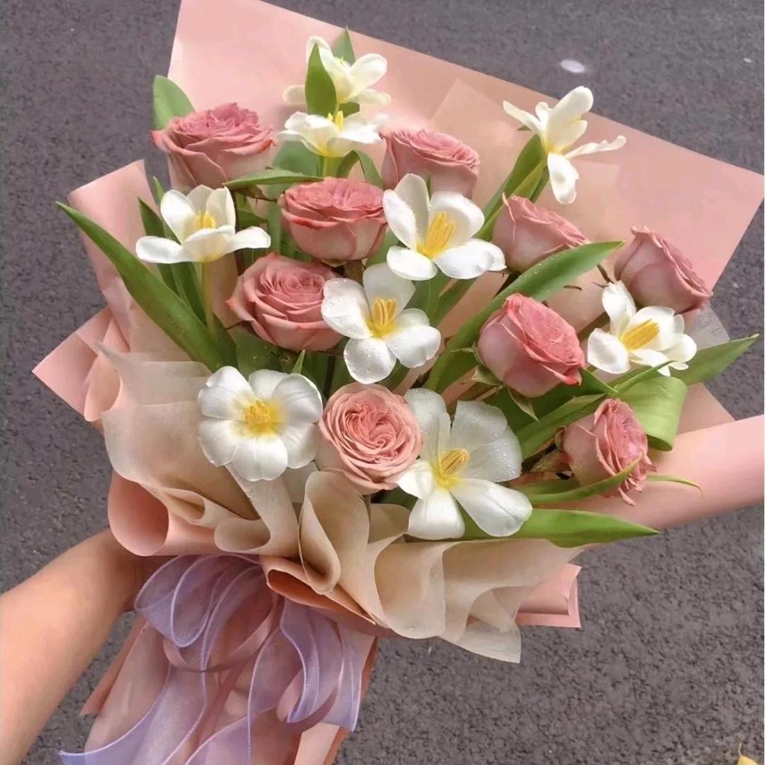 红河学仕教育赵丽老师