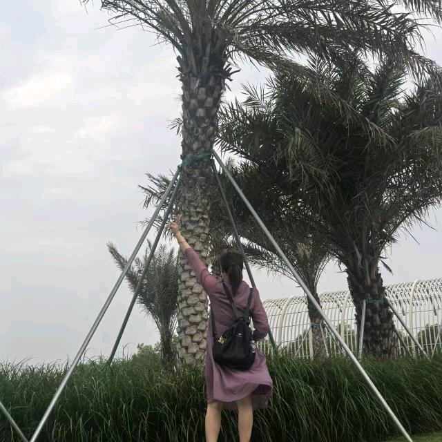 周燕子