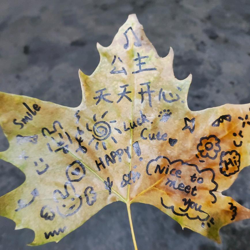 不发胖只发财