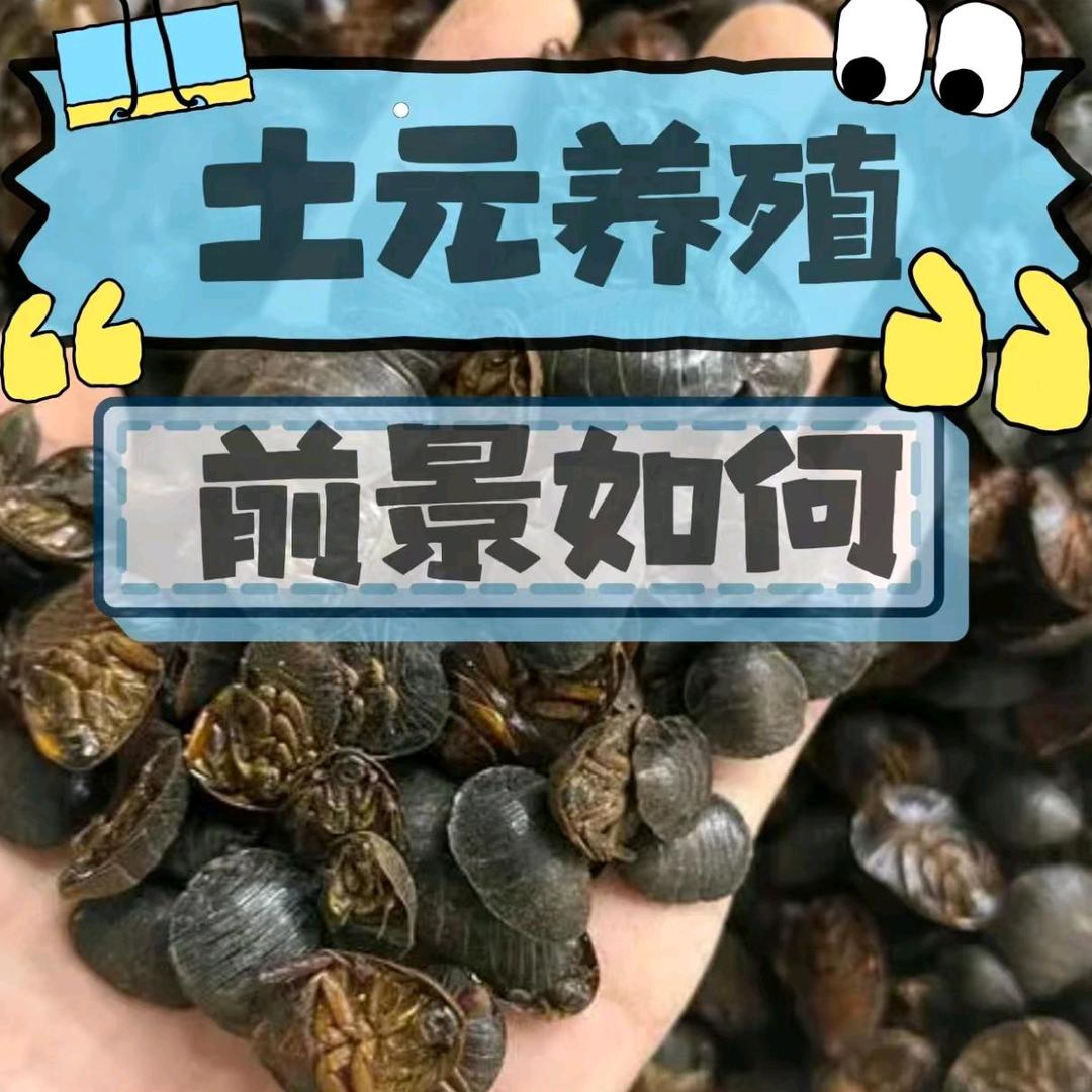 奢睿服饰南京市江宁区程杰水果经营部