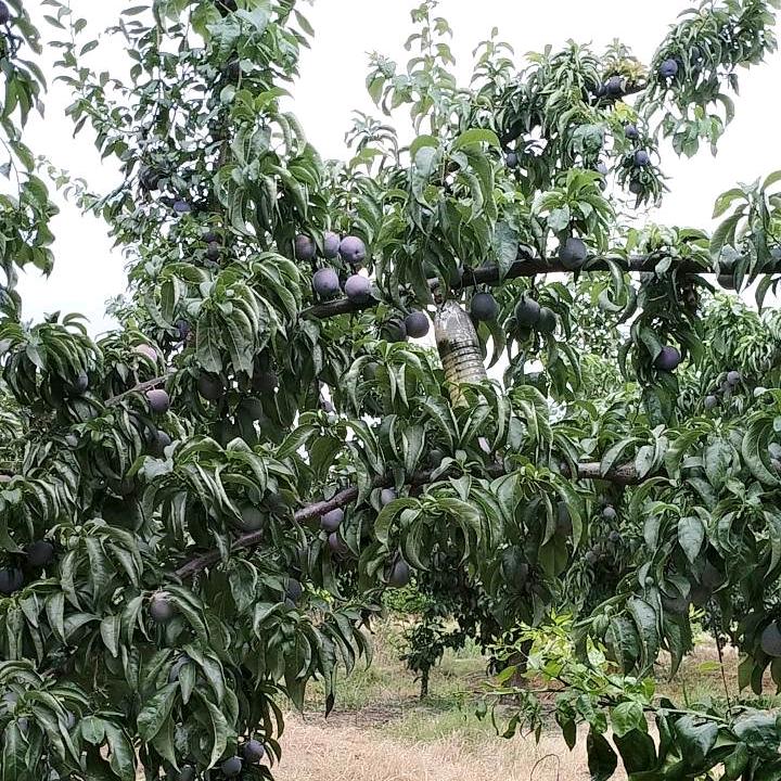 用户8987788638543