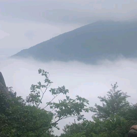 轻舞飞扬