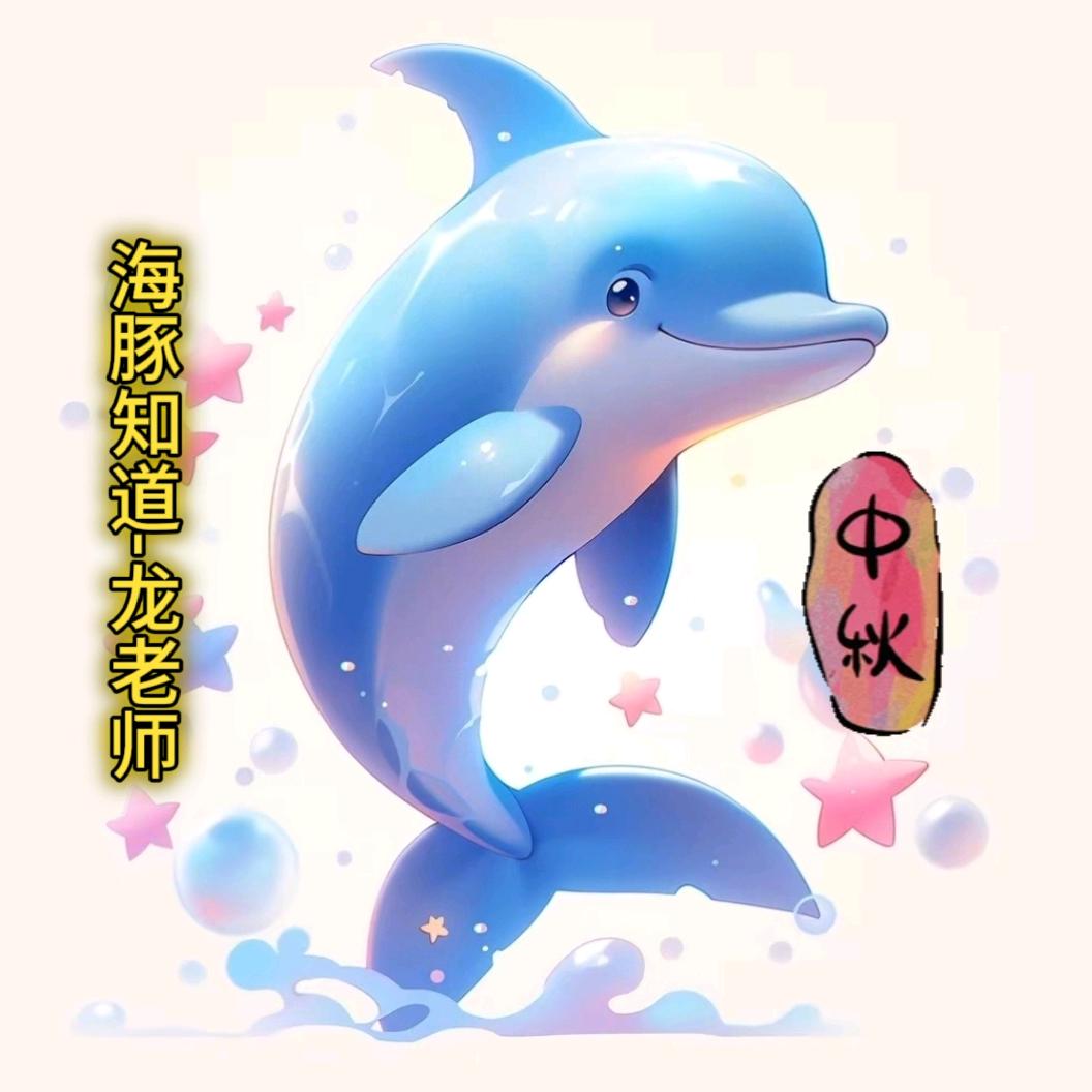 海豚知道🐬