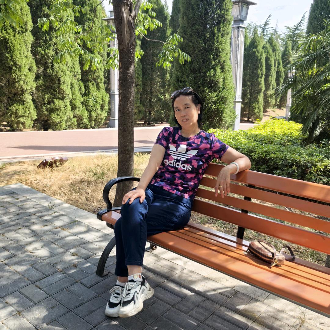 用户582365254646向日葵🌻