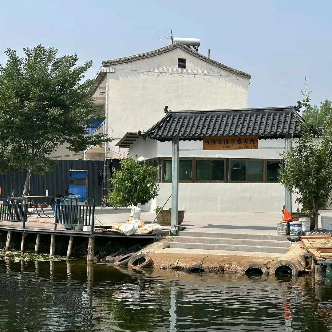白洋淀维孑农家院