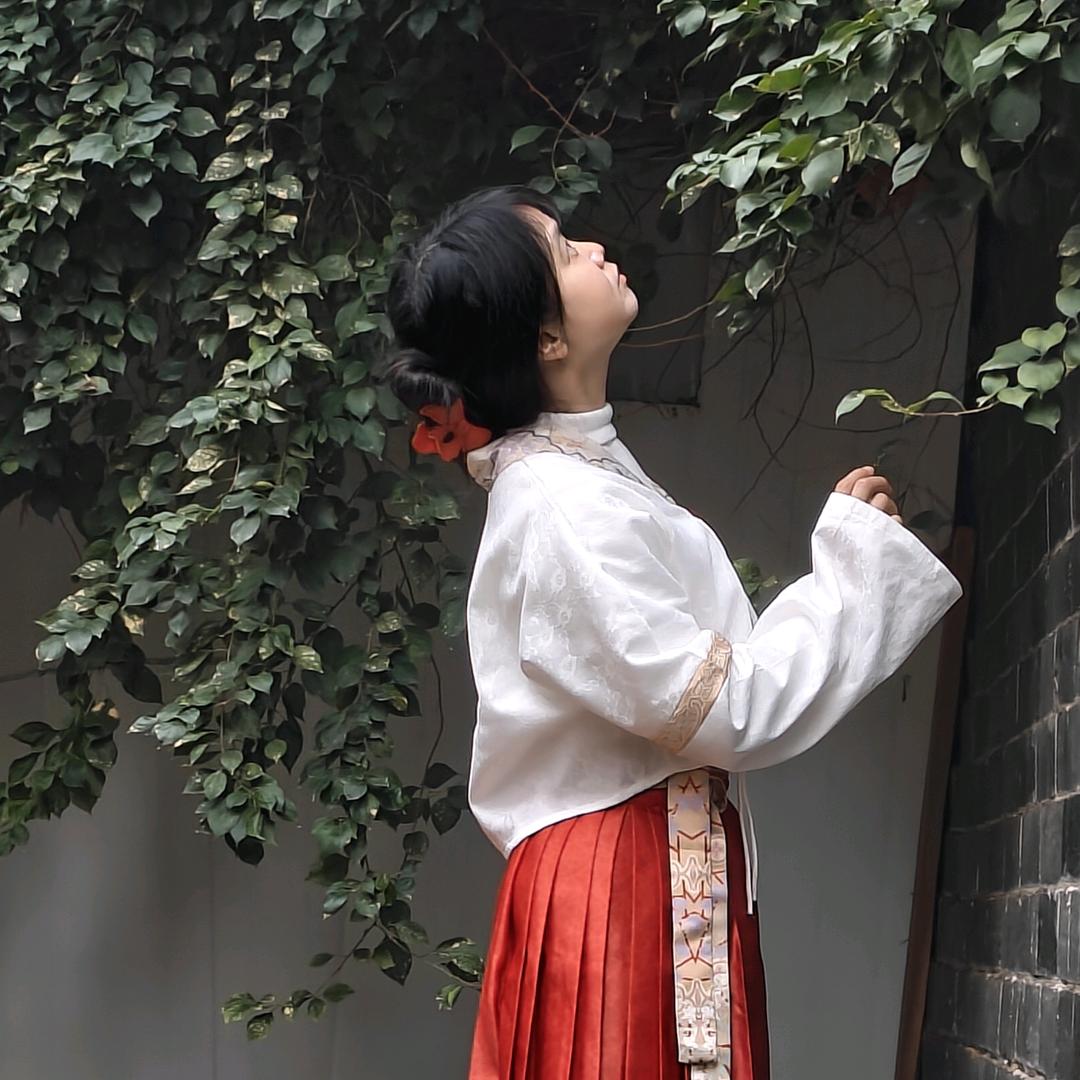 嗳(ღ˘⌣˘ღ)琴