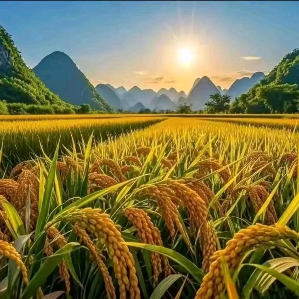 (ɔˆз(ˆ⌣ˆc)TAIYANG🌞