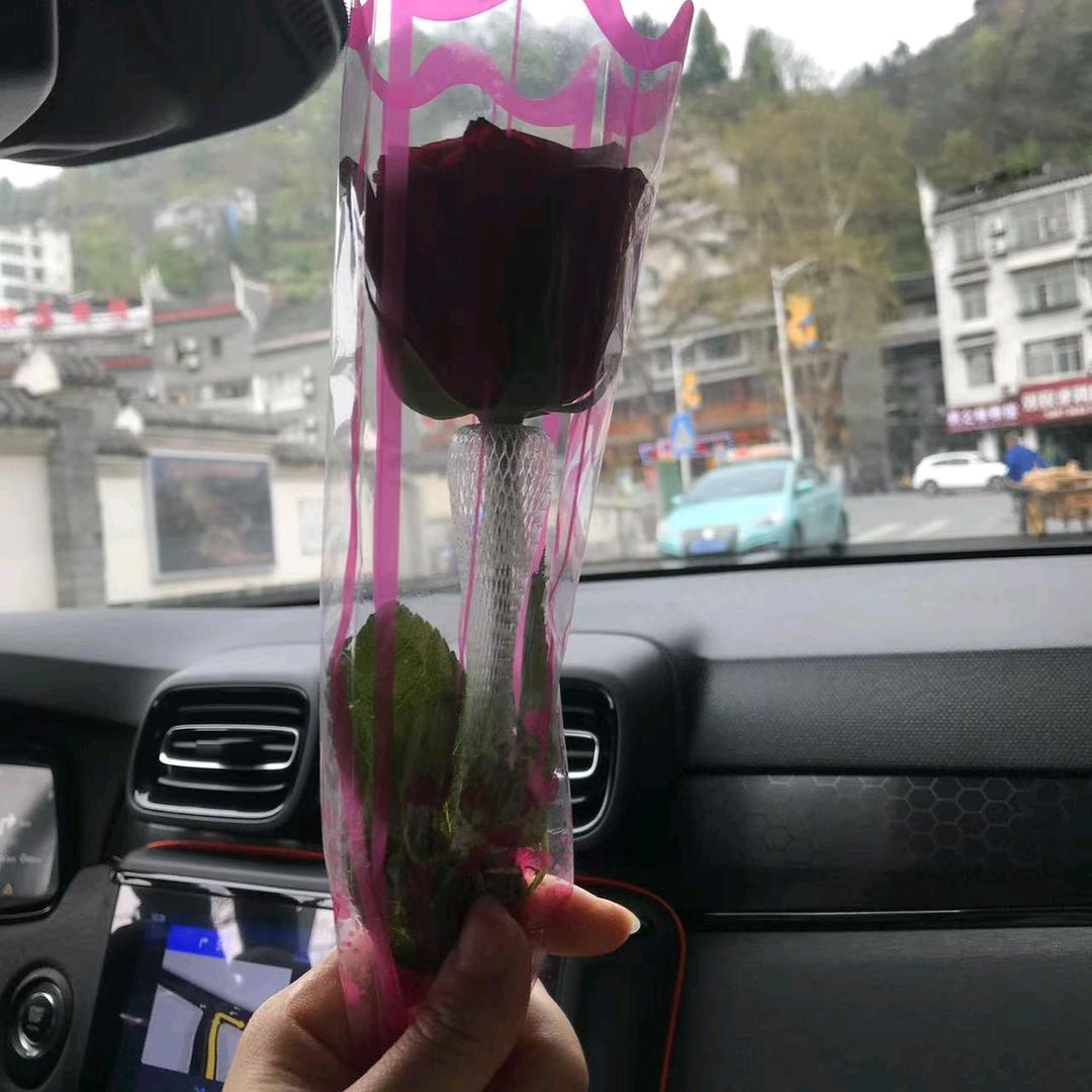 晓证来了