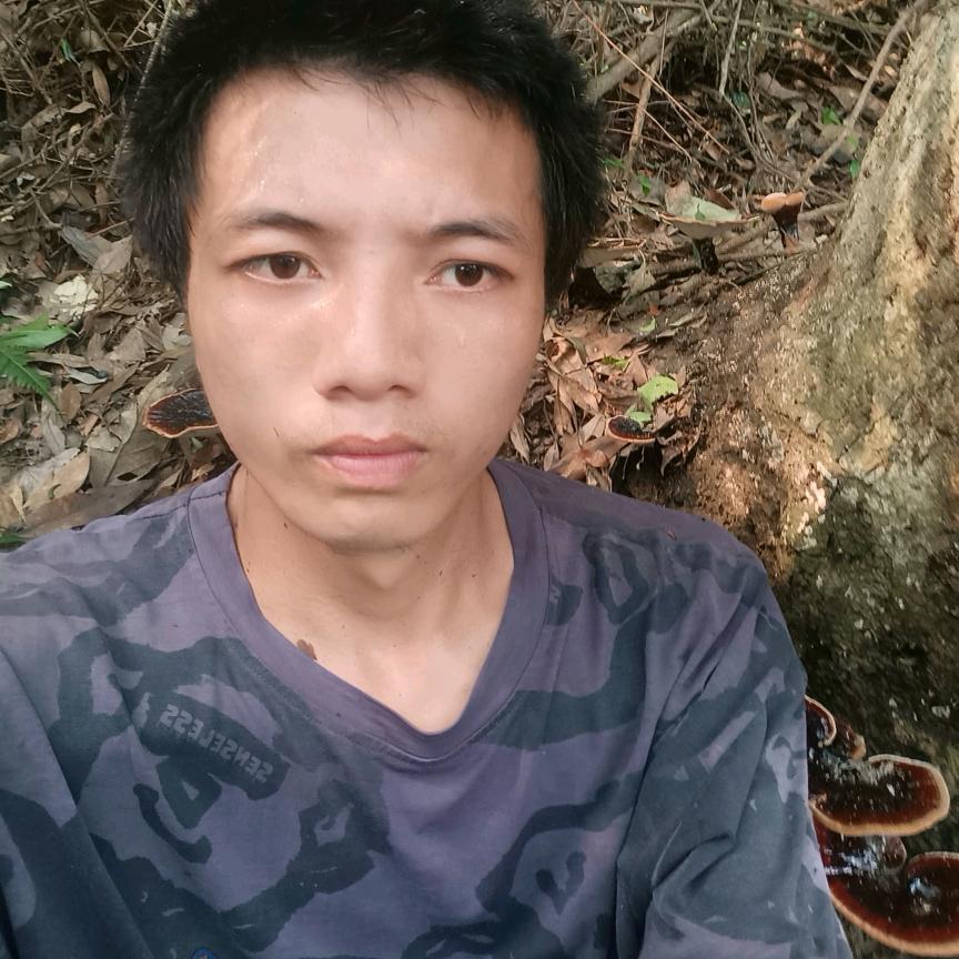镇龙走山客