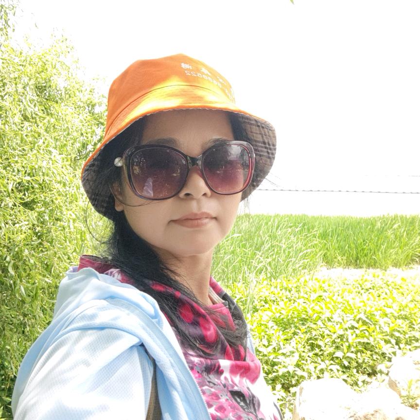 绿叶