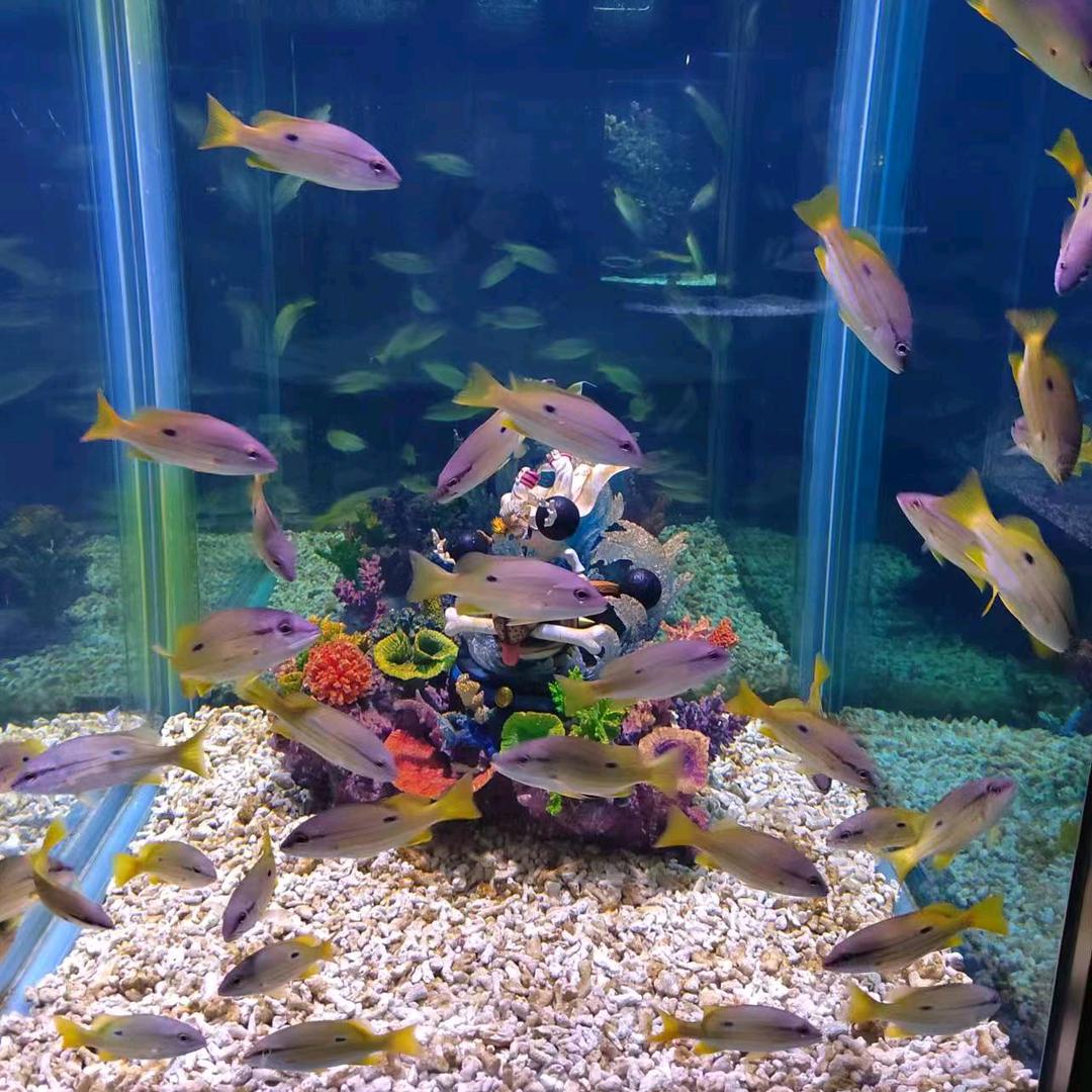 小苏的渔具店