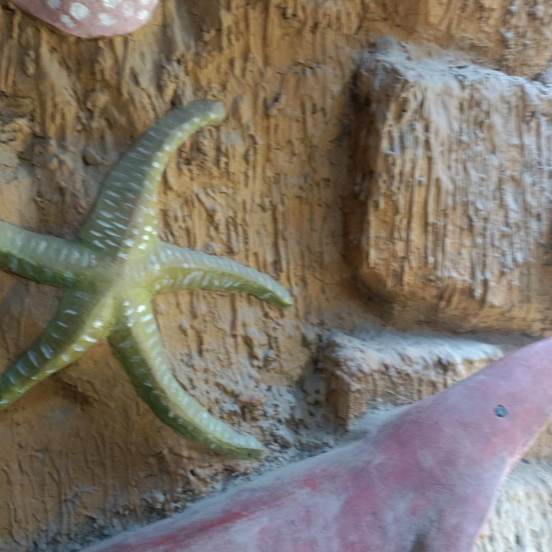 晓丽的平淡的生活