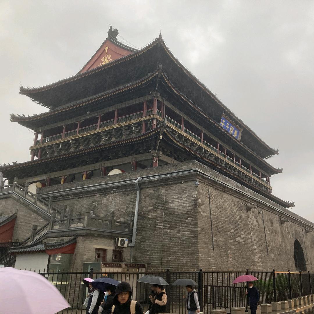 三文鱼头