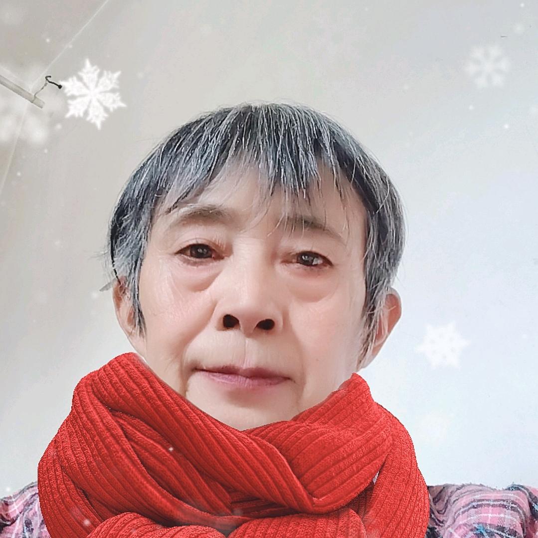 九月菊