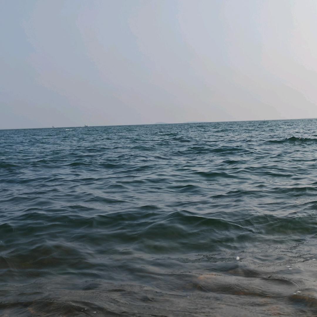 行走的上上签🛰