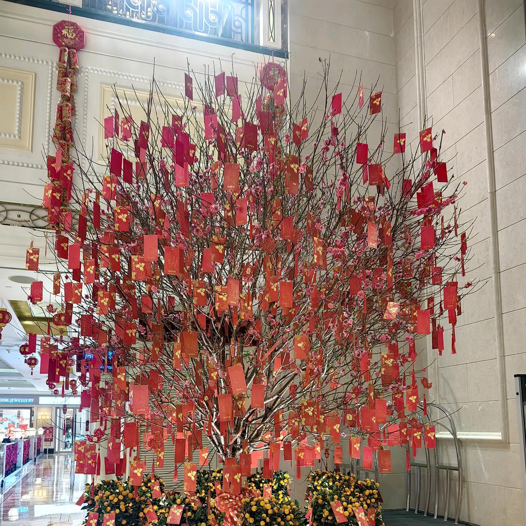 红洒+饼干