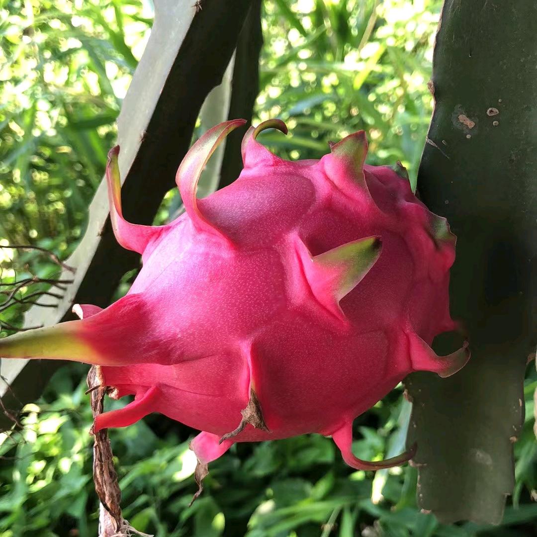 相遇是缘份