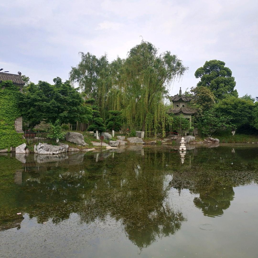 张永健