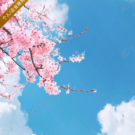 🍒亿雨🍒