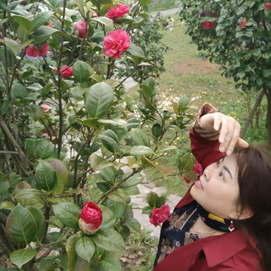 用户黄梅