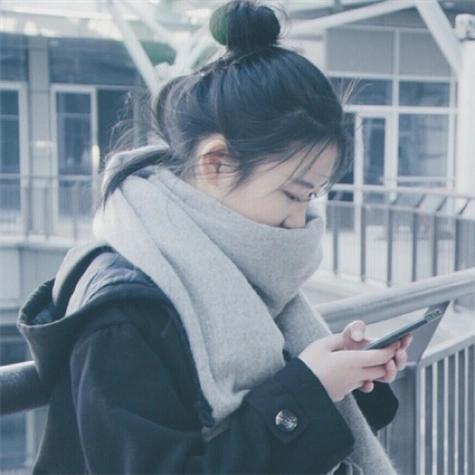 樱花落墨