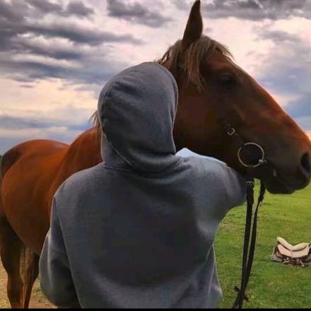 🐎马部长🐎