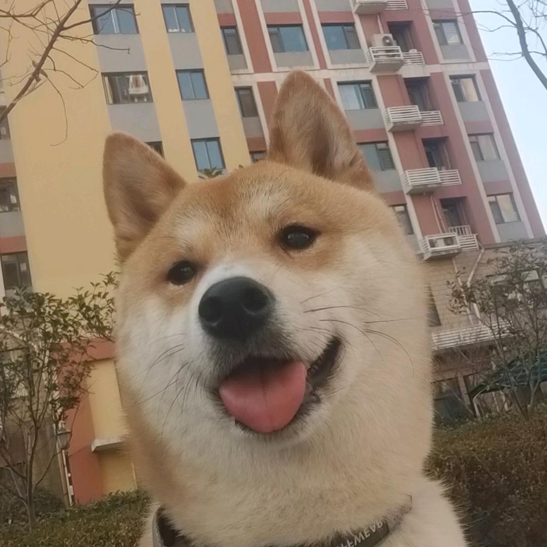 太牛啦lucky