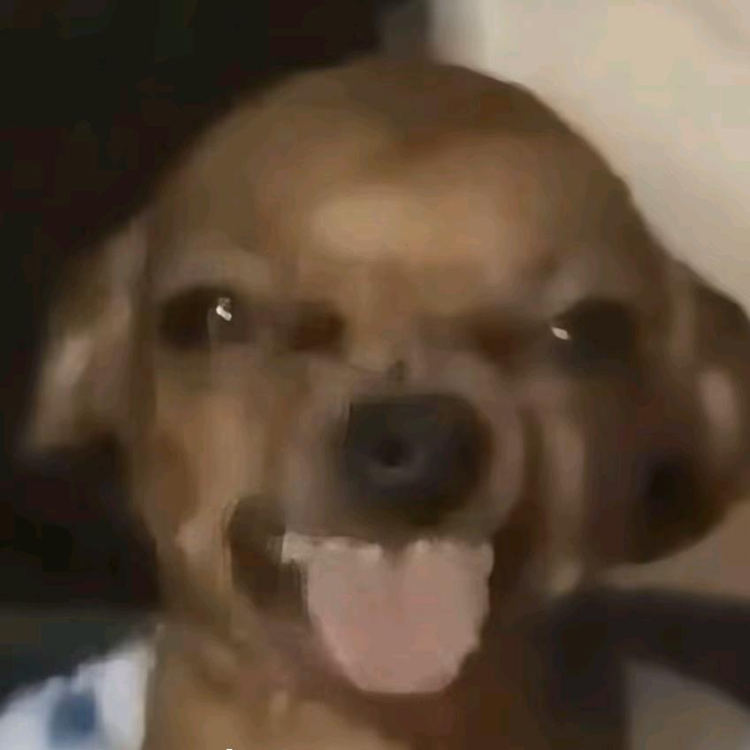 用户454672099951