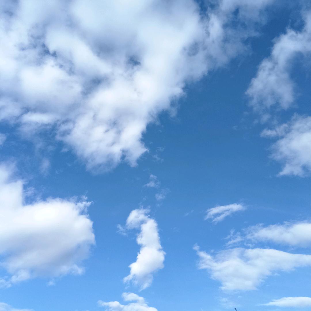 雨荷塘月色